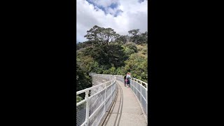 Scenes from Zealandia Te Māra a Tāne Ecosanctuary Wellington New Zealand [upl. by Aileve96]