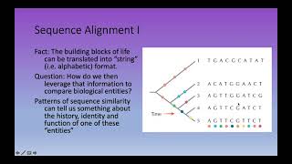 Bioinformatics Lecture 9 Pairwise Sequence Alignment [upl. by Eelta]