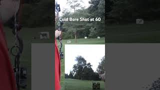 Cold Bore Shot at 60 pt 1 countrymusic deerhunting hunting archery deerhunting hunting [upl. by Hannaj]