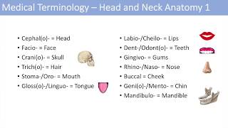 Medical Terminology  Lesson 6  Anatomy and Anatomical Terms [upl. by Goeger]