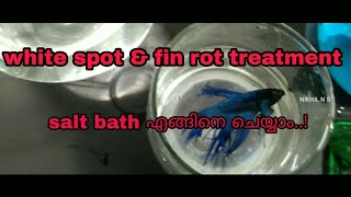 White spot amp fin rot treatment for bettasmalayalam  Nikhil n s [upl. by Aible909]