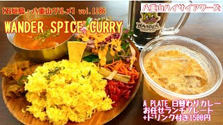 【石垣島・八重山グルメ】vol1186 WANDER SPICE CURRY A PLATE 日替わりカレー お任せランチプレートドリンク付き1500円 [upl. by Tega692]