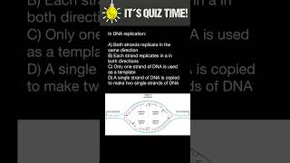 DNA Replication [upl. by Lulu597]