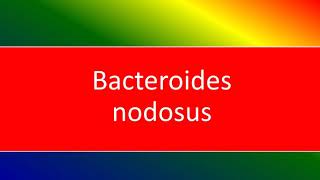 bacteroides nodosus [upl. by Lovmilla549]