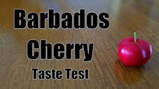 Barbados Cherry Taste Test [upl. by Ellerred]