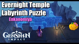 Evernight Temple Labyrinth Puzzle  Enkanomiya  Genshin Impact 24 [upl. by Declan]