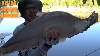 MEMANCING IKAN BELIDA BESAR SUNGAI RUNGAN KALIMANTAN [upl. by Jermyn700]