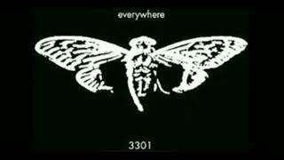 Cicada 330149 [upl. by Lefty]