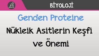 Genden Proteine  Nükleik Asitlerin Keşfi ve Önemi [upl. by Notac]