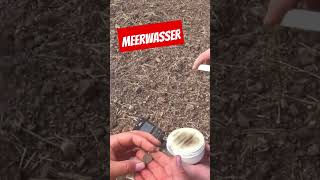 Meerwasser metaldetecting sondeln meer wasser zimyoutube DETEKTORENSHOP [upl. by Htebaile865]