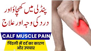 Calf Muscles Pain Treatment amp Physiotherapy  Pindli dard ki wajah or ilaj  UrduHindi  Dr Faisal [upl. by Tewfik580]