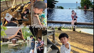 Vlog 50 Kuantan and Terengganu Trip Part 2  Tanjong Jara Resort 的海龟季 [upl. by Bumgardner]