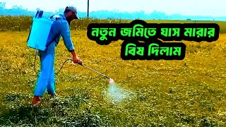 জমির ঘাস মারার ঔষধ দেওয়া  আগাছা দমনের বিষ  Agasa Nasok  How To Kill Weeds And Grass Permanently [upl. by Lirrad]