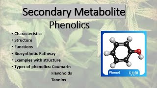 Secondary MetabolitePhenolicsCoumarinFlavanoidsTanninStructureBiosynthetic PathwayExamples [upl. by Ettennek]