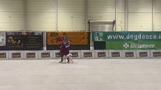 Lina und Halma Guardian Dogdance Freestyle Fun [upl. by Dannon]