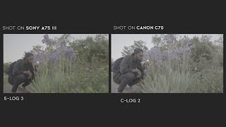 Canon C70 vs Sony A7s iii C Log vs S Log [upl. by Kronfeld]