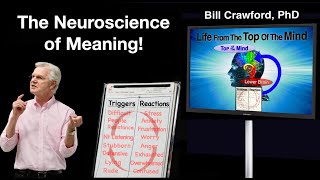 The Neuroscience of Meaning [upl. by Enajyram]