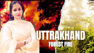 Uttrakhand Forest Fire  क्यों जल रहा है उत्तराखंड  पिछले साल की तुलना में 5 गुना बढ़ी आगजनी [upl. by Elleoj]