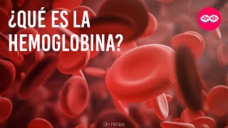 ¿Qué es la Hemoglobina  Consulta Médica [upl. by Flora]