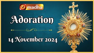 🔴 LIVE 14 November 2024 Adoration 1100 AM  Madha TV [upl. by Ji15]