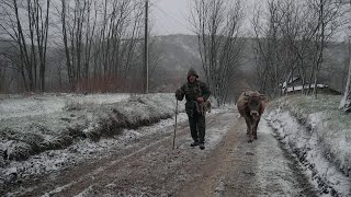 SATUL CU UN SINGUR LOCUITOR – Povestea lui nea Ionică ‖ Despre singurătate și durere ep1 [upl. by Lindsay]