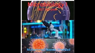 Lecture 3 MLT 1st Coagulase Test Microbiology 1 By Muhammad Naeem Shehzad [upl. by Eeresed]