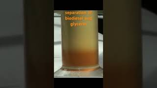 Separation of biodiesel and glycerin glycerol Transesterification on a reactor from globecore [upl. by Lody999]