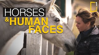 Can Horses Recognize Picture of Their Keepers [upl. by Raamal]