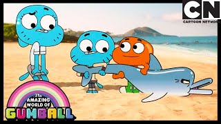 The List  Gumball  Cartoon Network [upl. by Esyned849]