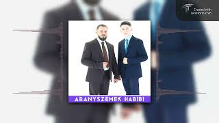 Aranyszemek HABIBI Ride M amp SzBG BOOTLEG [upl. by Ocnarfnaig]