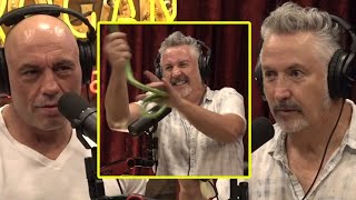 The Longest Comedy Bit In JRE History  Joe Rogan amp Harland Williams [upl. by Betthel398]