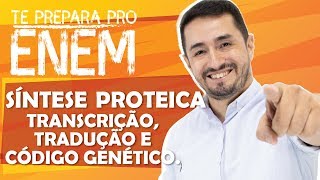 SÍNTESE PROTEICA  TRANSCRIÇÃO TRADUÇÃO E CÓDIGO GENÉTICO [upl. by Graehme986]