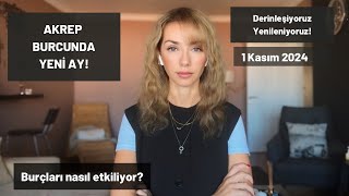 AKREP BURCUNDA YENİ AY  1 Kasım 2024 [upl. by Ayifas]