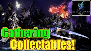 FFXIV Heavensward  Collectables amp Ephemeral Nodes  Gathering [upl. by Eisdnyl]