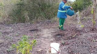 seca castigando no nordeste [upl. by Marillin876]