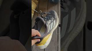 Adidas Terrex Free Hiker 20 Low GORETEX Hiking Shoes After 6 Months [upl. by Chrystel]