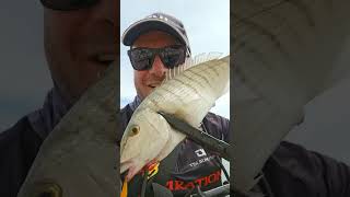 ΜΟΥΡΜΟΥΡΑ ΜΕ Tsurinoya Intruder Dw135 46s 5gr GeorgePrasinos fishing tsurinoya greece lrf [upl. by Ecinereb]