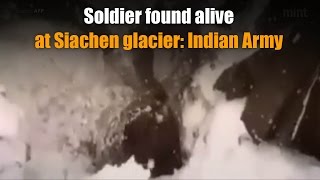 Soldier found alive at Siachen glacier Indian Army [upl. by Helman]