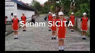 Lomba Sicita 2024Senam Indonesia Cinta Tanah Air SICITA [upl. by Addison]