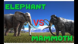 Elephant vs Mammoth Tiger vs Thylacoleo  ARK Additional Creatures Mod  ARK Survival Evolved [upl. by Neeroc]