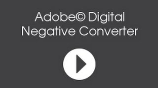 QuickTipp I Adobe DNG Converter I Schritt für Schritt erklärt [upl. by Ellerrad]