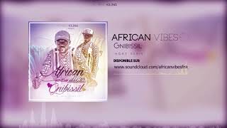 African Vibes Gnibissil Official Track [upl. by Onifled]