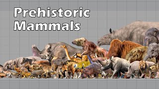 Size Comparison of Animals the Prehistoric Mammals [upl. by Nedia764]