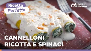 CANNELLONI RICOTTA e SPINACI un must della cucina italiana Ricetta originale [upl. by Priscella]