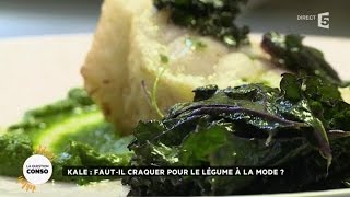 Kale  fautil craquer pour le légume à la mode [upl. by Massie157]