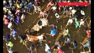 Unmissable Bullfighting Battle Shiyungu Prevails Against CBC in Epic Contest [upl. by Evelina]