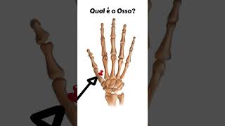 Qual é o Osso [upl. by Enyt]