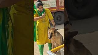 Tiger scared at petrol pump😯 [upl. by Godfry]