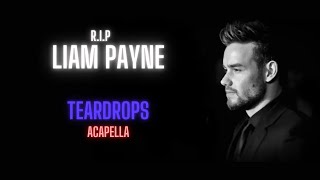 Liam Payne Teardrops Acapella  Vocals Only [upl. by Seldon]