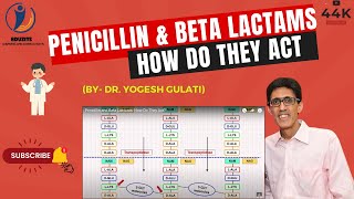 Penicillin and Beta Lactams How Do They Act [upl. by Knepper]